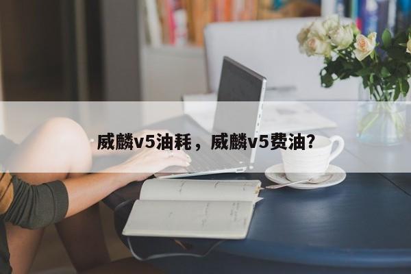 威麟v5油耗，威麟v5费油？