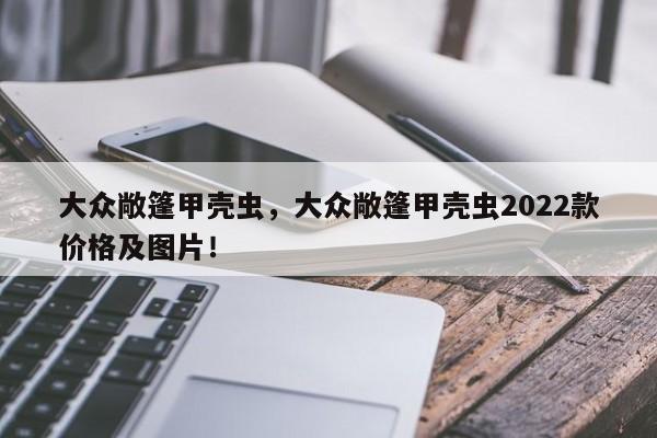 大众敞篷甲壳虫，大众敞篷甲壳虫2022款价格及图片！